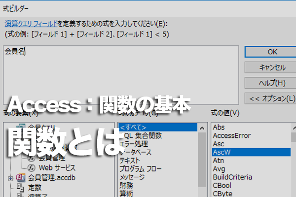 Accessの「関数」とは