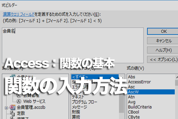 Accessの関数の入力方法