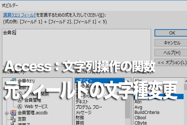 Accessの関数で元のフィールドの文字種を変換する方法