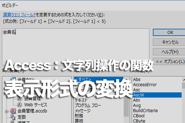 Accessの「Format」関数でデータの表示形式を変換する方法