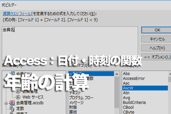 Accessの関数で生年月日から年齢を求める方法