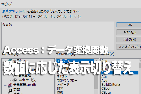 Accessの関数でフィールドの値に応じて表示する値を切り替える方法