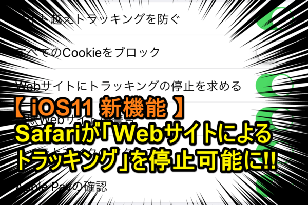 【iOS 11】知ってると安心! Safariで「Webサイトにトラッキングの停止を求める」方法(新機能)