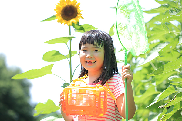 「 #夏休み子ども科学電話相談 」をNHK「らじる★らじる」でタイムシフト聴取しよう