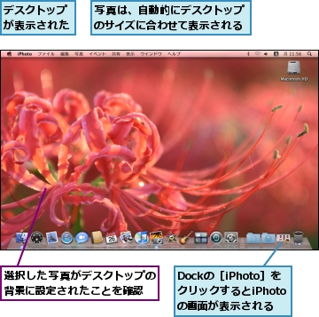 Dockの［iPhoto］をクリックするとiPhotoの画面が表示される,デスクトップが表示された,写真は、自動的にデスクトップのサイズに合わせて表示される,選択した写真がデスクトップの背景に設定されたことを確認