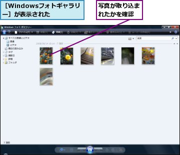 写真が取り込まれたかを確認,［Windowsフォトギャラリー］が表示された
