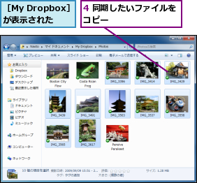 4 同期したいファイルをコピー        ,［My Dropbox］が表示された