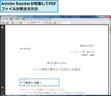Adobe Readerが起動してPDFファイルが表示された