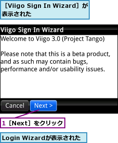 1［Next］をクリック,Login Wizardが表示された,［Viigo Sign In Wizard］が表示された      