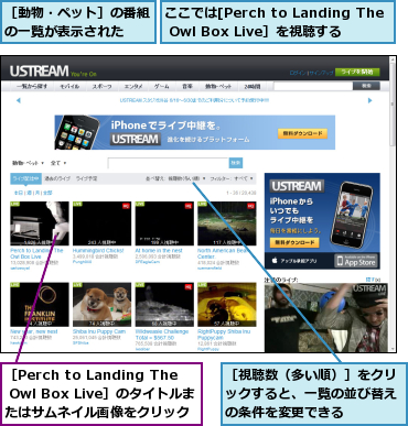 ここでは[Perch to Landing The Owl Box Live］を視聴する,［Perch to Landing The Owl Box Live］のタイトルまたはサムネイル画像をクリック,［動物・ペット］の番組の一覧が表示された  ,［視聴数（多い順）］をクリックすると、一覧の並び替えの条件を変更できる