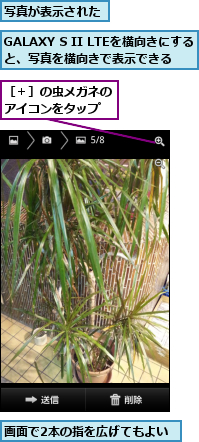 GALAXY S II LTEを横向きにすると、写真を横向きで表示できる　　　　,写真が表示された,画面で2本の指を広げてもよい,［＋］の虫メガネのアイコンをタップ