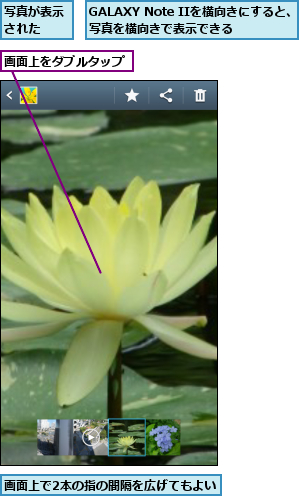 GALAXY Note IIを横向きにすると、写真を横向きで表示できる,写真が表示された  ,画面上で2本の指の間隔を広げてもよい,画面上をダブルタップ