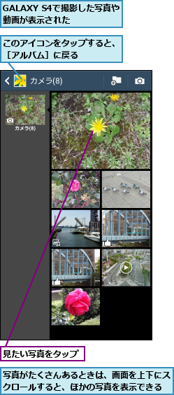GALAXY S4で撮影した写真や動画が表示された  ,このアイコンをタップすると、［アルバム］に戻る    ,写真がたくさんあるときは、画面を上下にスクロールすると、ほかの写真を表示できる,見たい写真をタップ