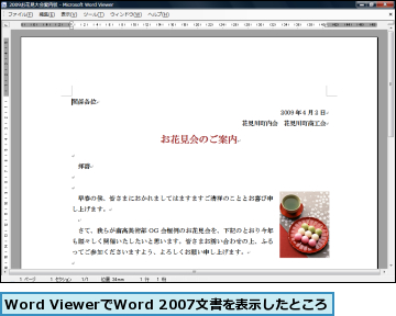 Word ViewerでWord 2007文書を表示したところ