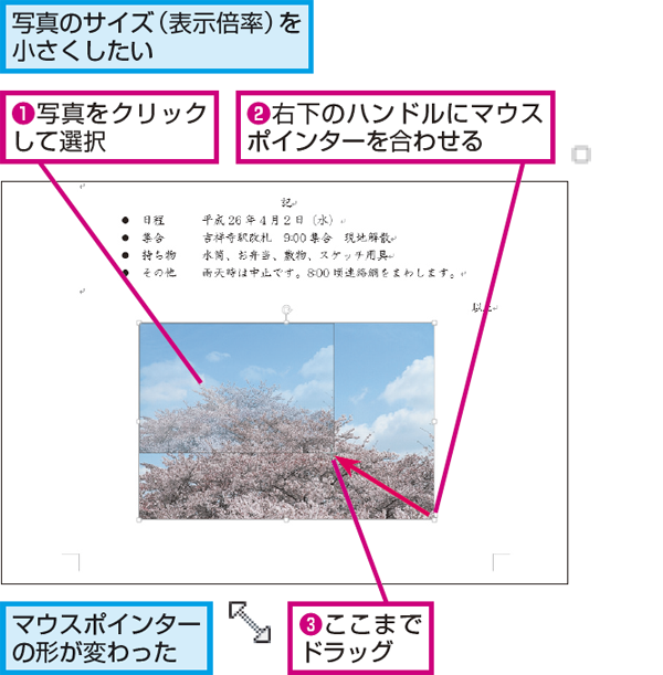 Wordで縦横比を変えずに写真のサイズを変更する方法 | できるネット