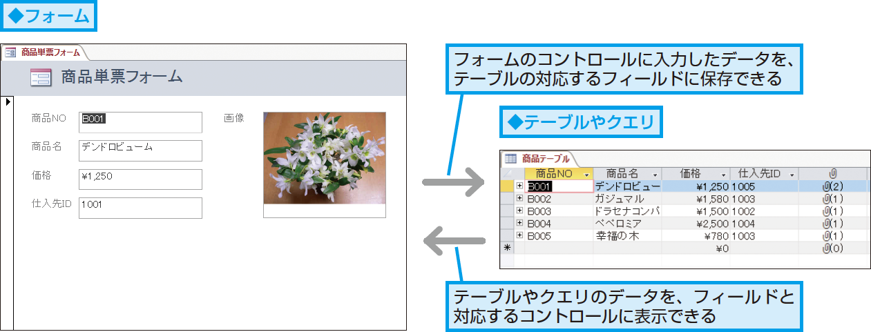 Accessのフォームのコントロールとは できるネット