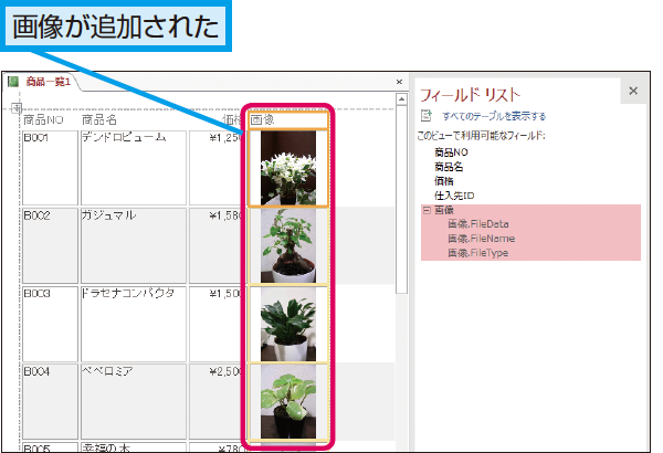 Accessのレポートで添付型のフィールドを追加する方法 できるネット