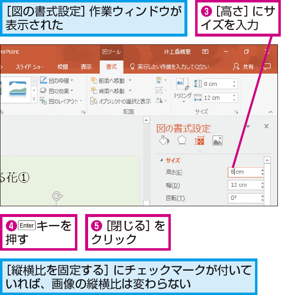 Powerpointで画像のサイズを数値で指定する方法 できるネット