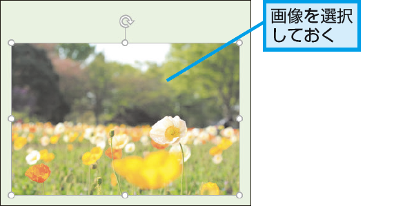 Powerpointで画像の向きを左右反転する方法 できるネット