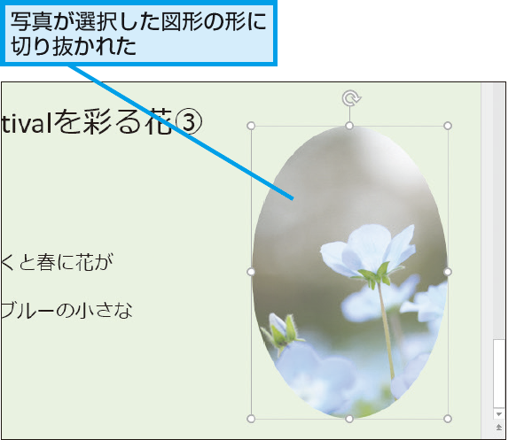 Powerpointで画像を円形や星形に切り抜く方法 できるネット