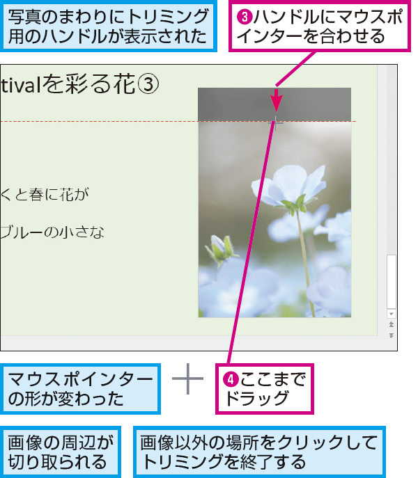 Powerpointで画像の一部を切り取る方法 できるネット