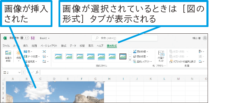 ワークシートに画像を挿入したい