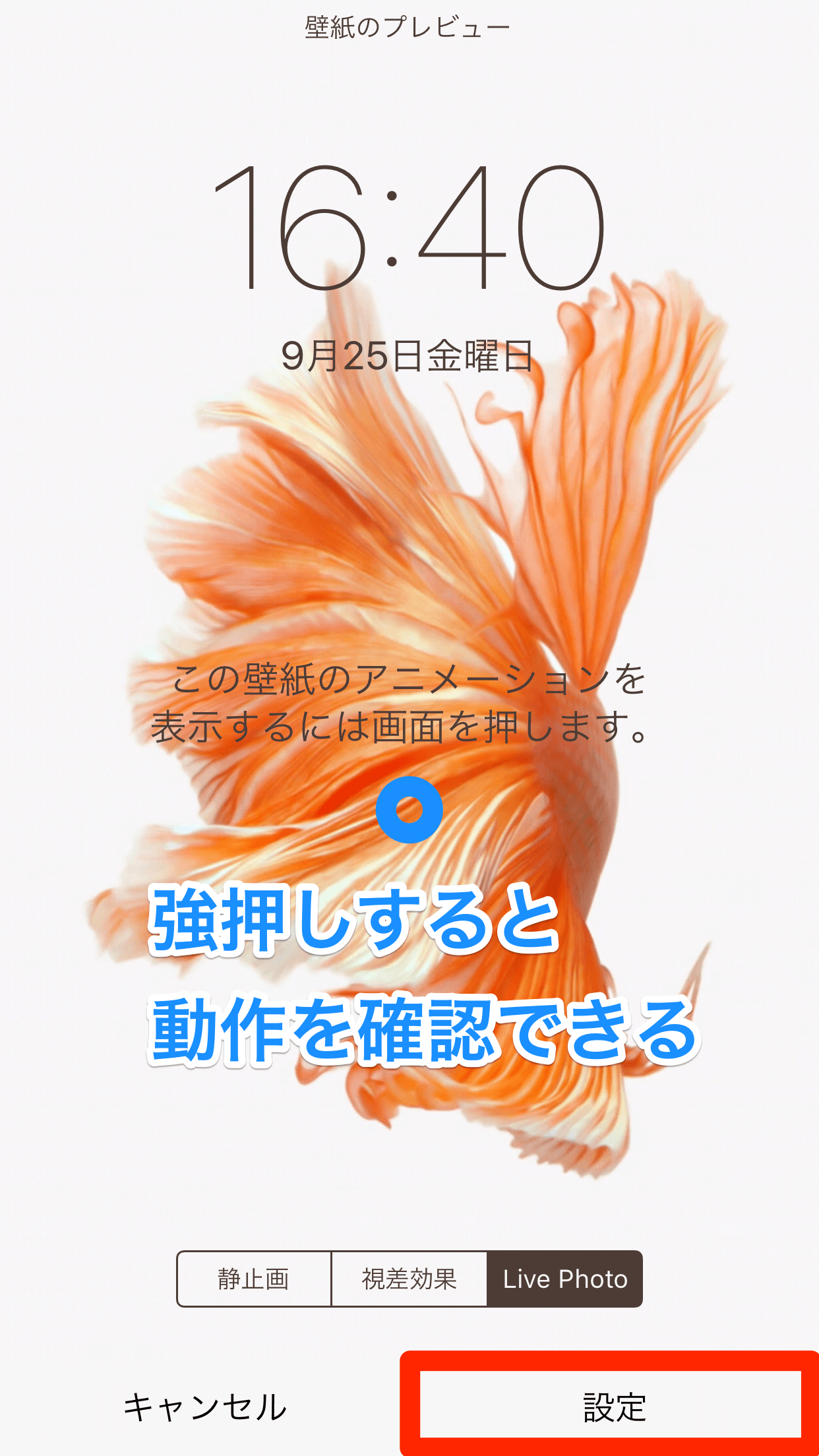 Iphone 6sの Live壁紙 を使う 動くロック画面を動画で見る できる