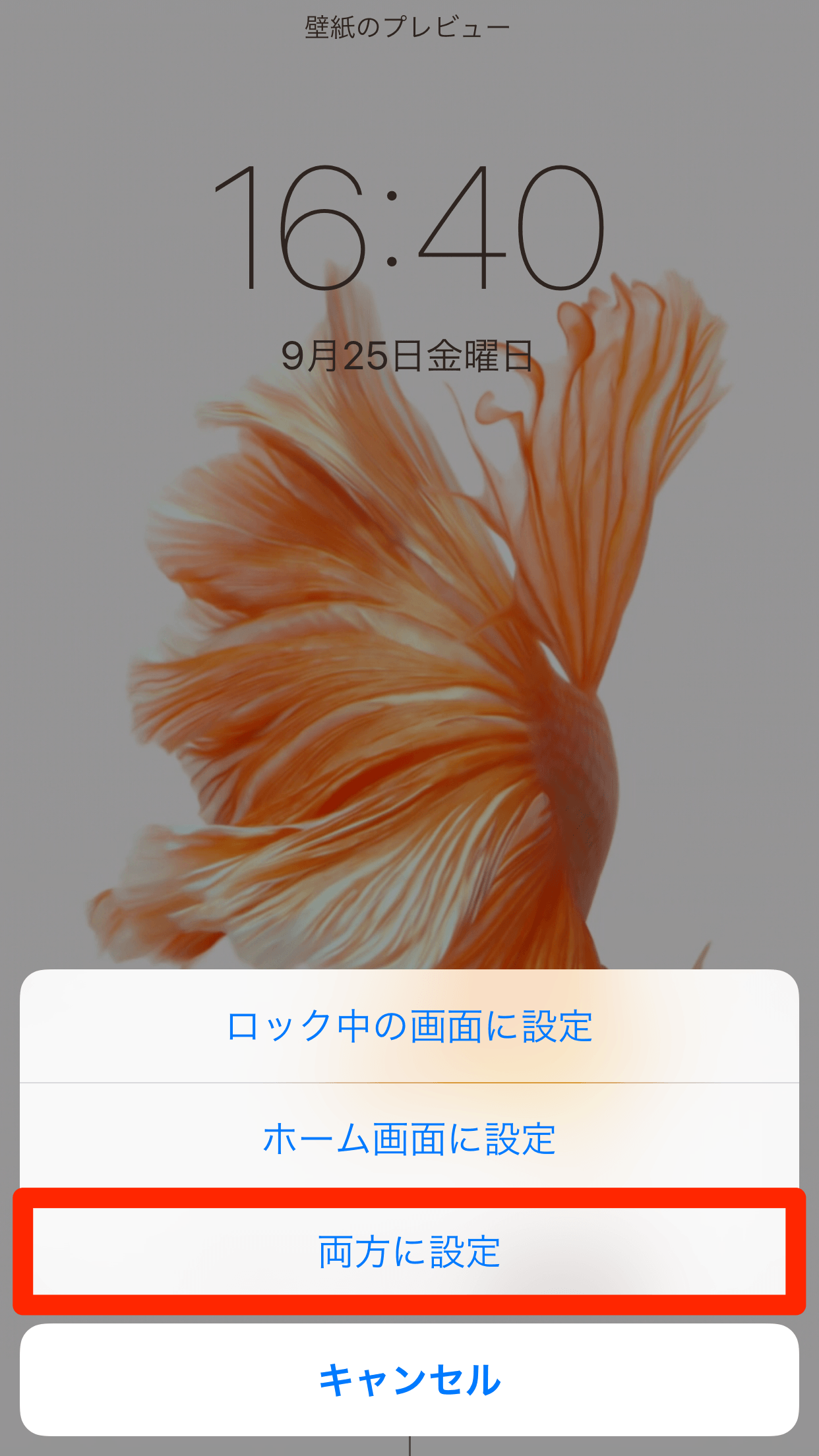 Iphone 6sの Live壁紙 を使う 動くロック画面を動画で見る できる