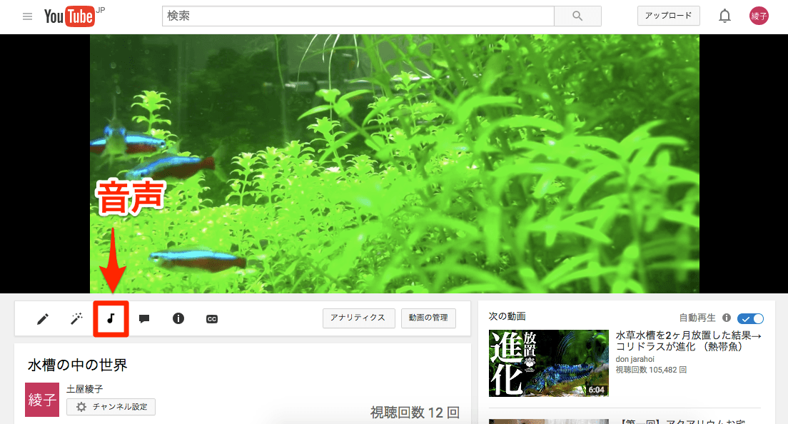 Youtube 音声 ツールで動画にbgmをつける方法 できるネット