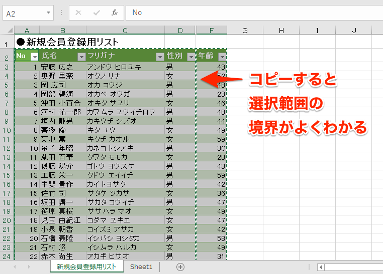 エクセル時短 見えているセルだけコピペしたい 非表示の行と列を除いて選択する方法 エクセル時短 できるネット