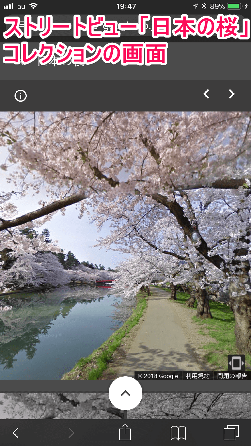 グーグル（Google）ストリートビュー「日本の桜」コレクションの画面