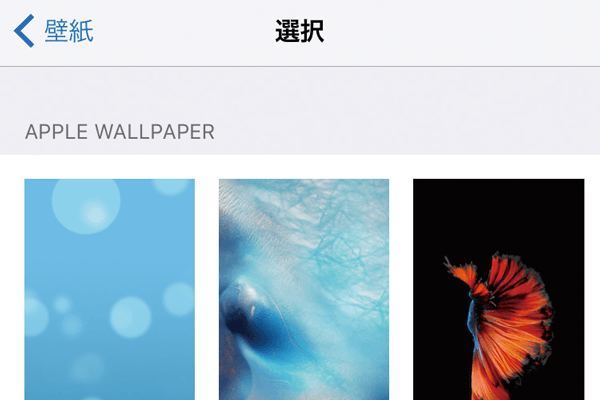 Iphoneの壁紙 ホーム画面 ロック画面 を変更する方法 できるネット