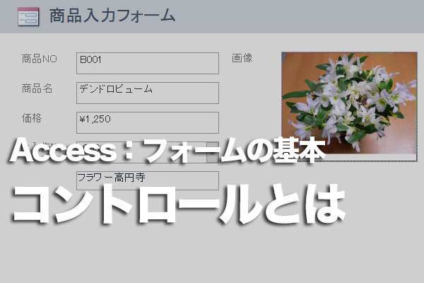 Accessのフォームのコントロールとは できるネット