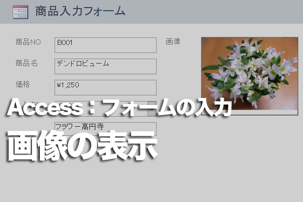 Accessのフォームで画像を枠内に表示するには できるネット