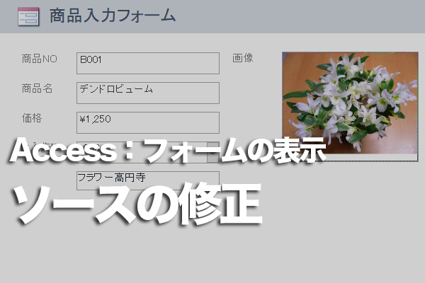 Accessのフォームのテキストボックスに Name と表示されてしまう できるネット