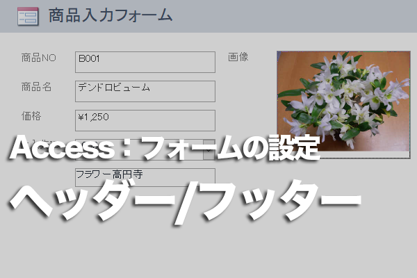 Accessのフォームヘッダー フッターを表示する方法 できるネット
